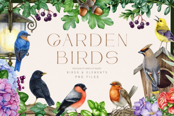 Download Garden Birds Watercolor Illustration Set - Color Collection
